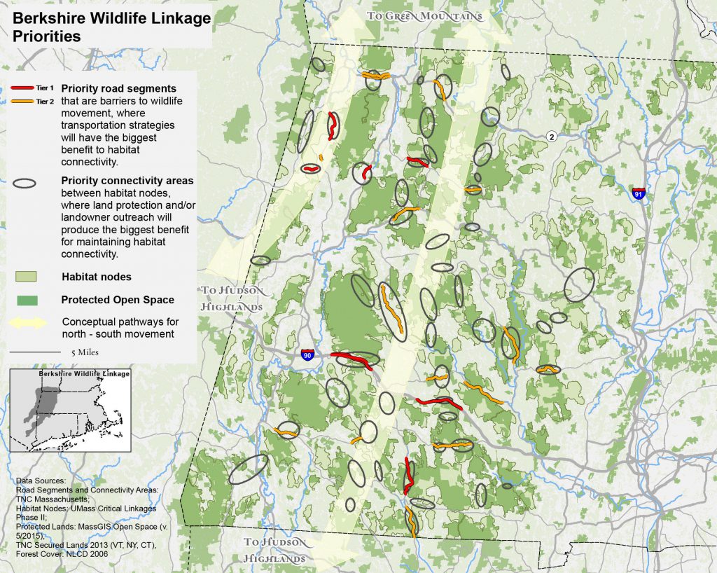 Massachusetts has identified key potential crossing areas to focus on. (Credit: The Nature Conservancy)
