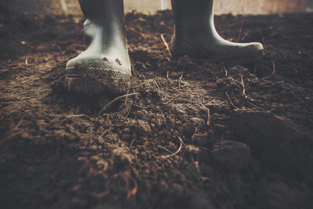 A farmer cultivating the land. Dry land is filled with weeds that needs to be exterminated. In harmony with his quest, the farmer is wearing black rubber boots. Photo credit: Luka Lajst / iStock.com
