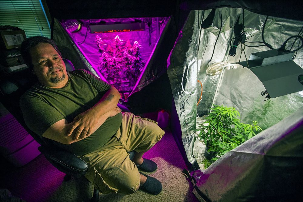 Peter Bernard, president of the Massachusetts Growers Advocacy Council, sits in his small grow room in his Taunton home, where he uses both LED and halide lights. Photo by Jesse Costa for WBUR
