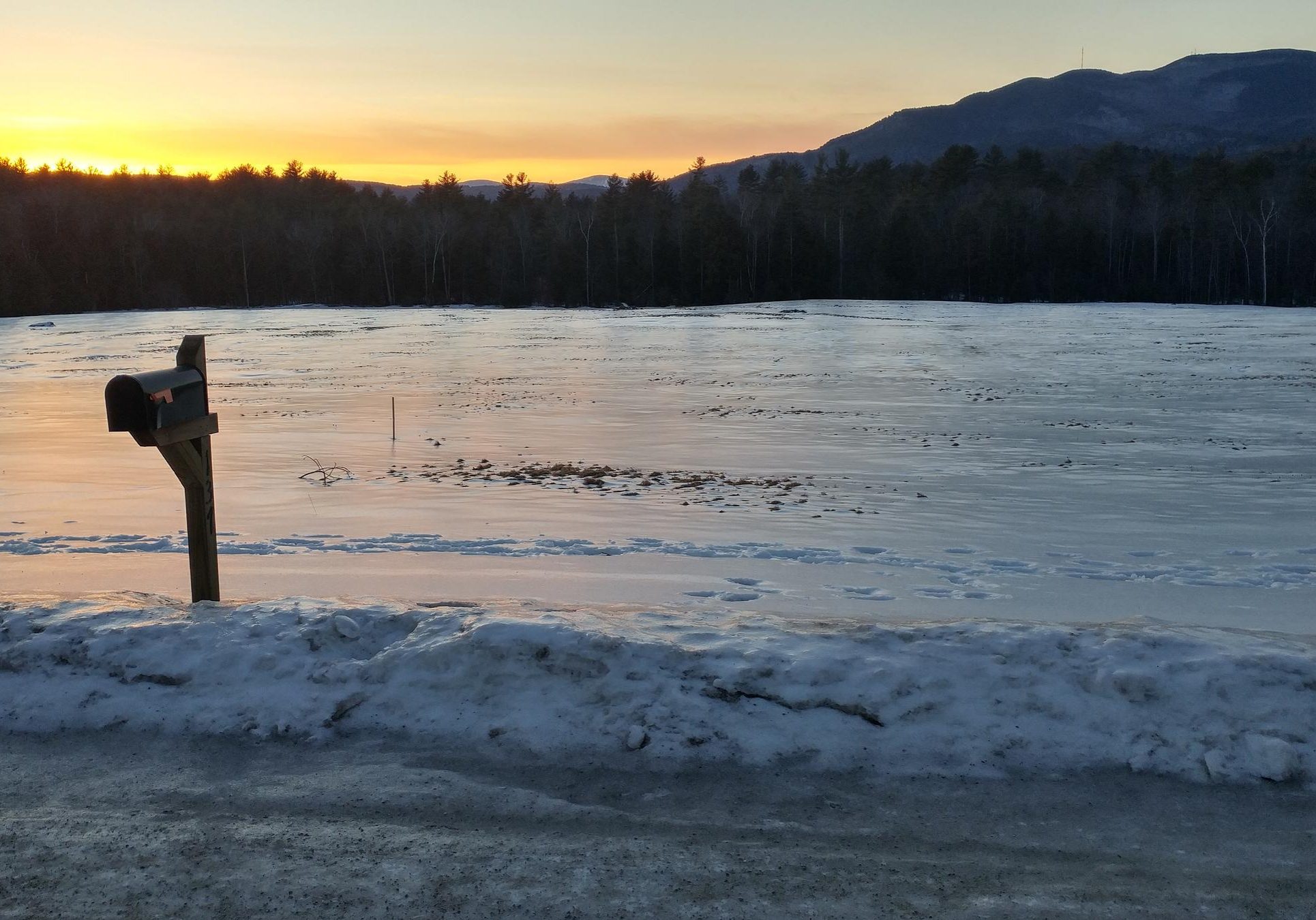 Developers are still pursuing a utility-scale solar array on this parcel in Claremont, despite being shut out of Massachusetts' renewable energy procurement efforts.
Photo by Annie Ropeik for NHPR